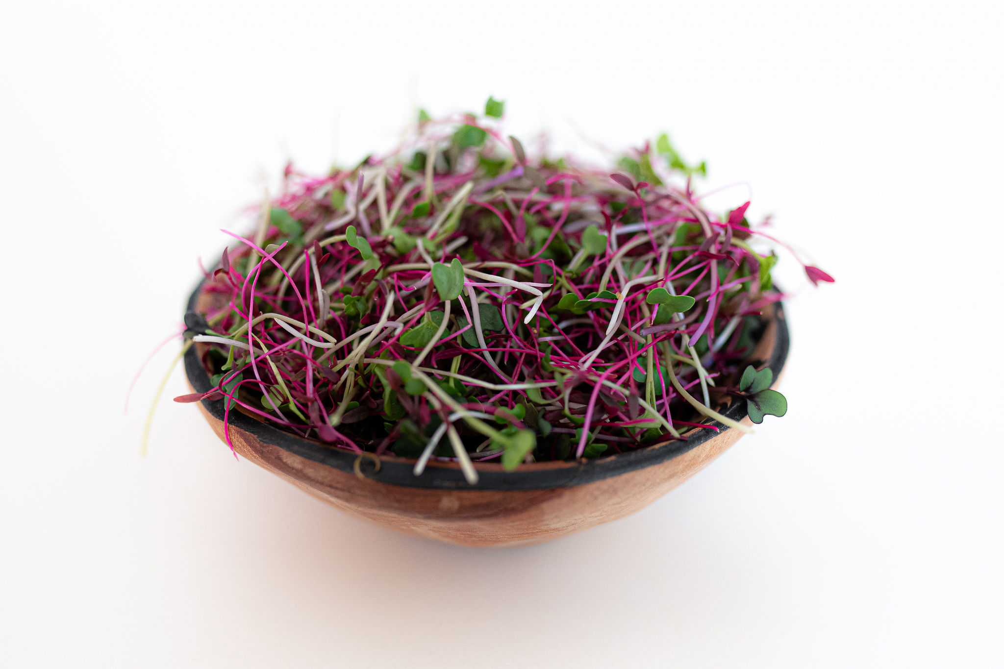 All Microgreens – Something Better With Beth