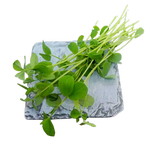 Speckled Pea Shoots- $5